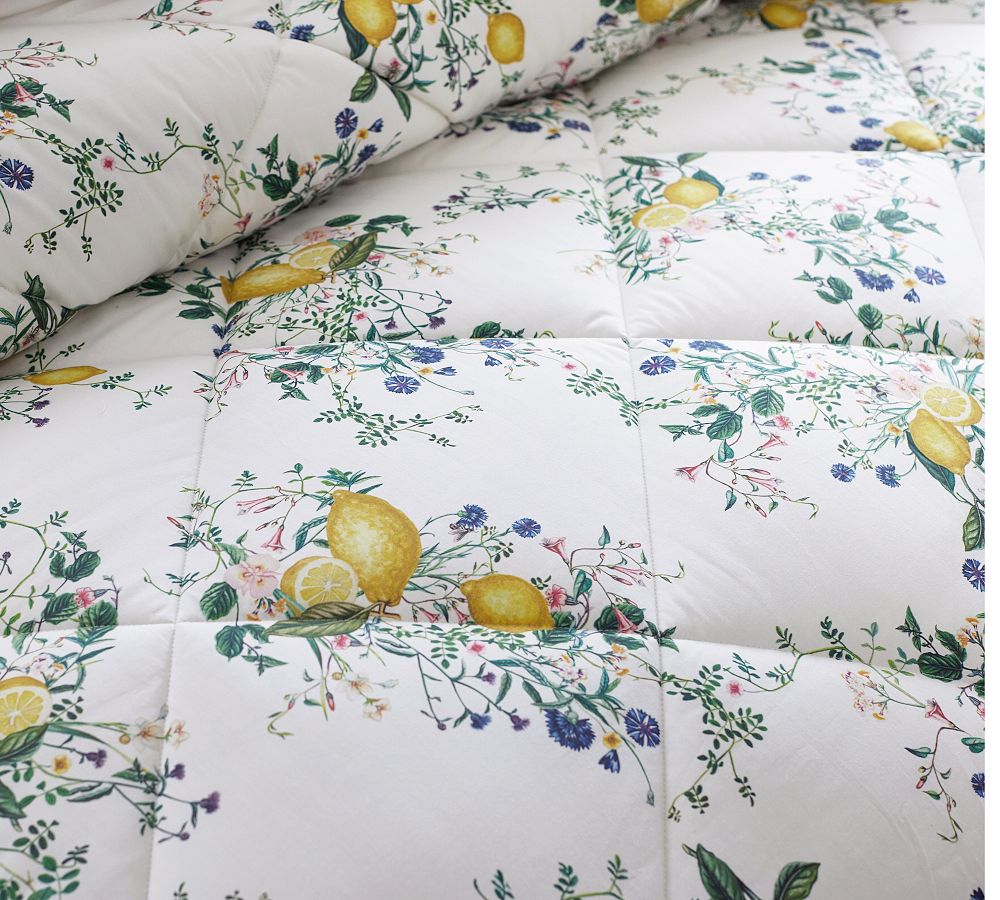 Pottery Barn- Monique Lhuillier Positano
